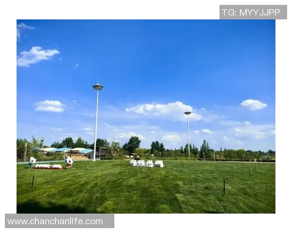 步行者的探索之旅：从城市街头到自然步道的心灵与身体双重体验